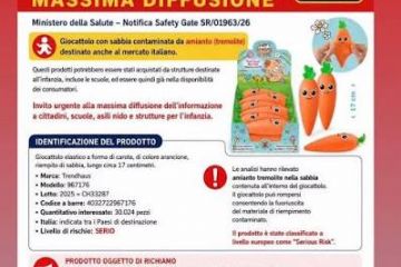 Sfoglia la galleria